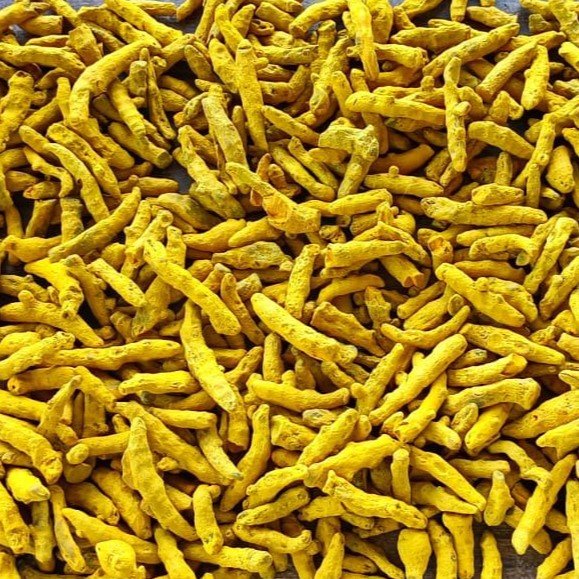 Turmeric Finger